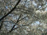 030406 013.jpg